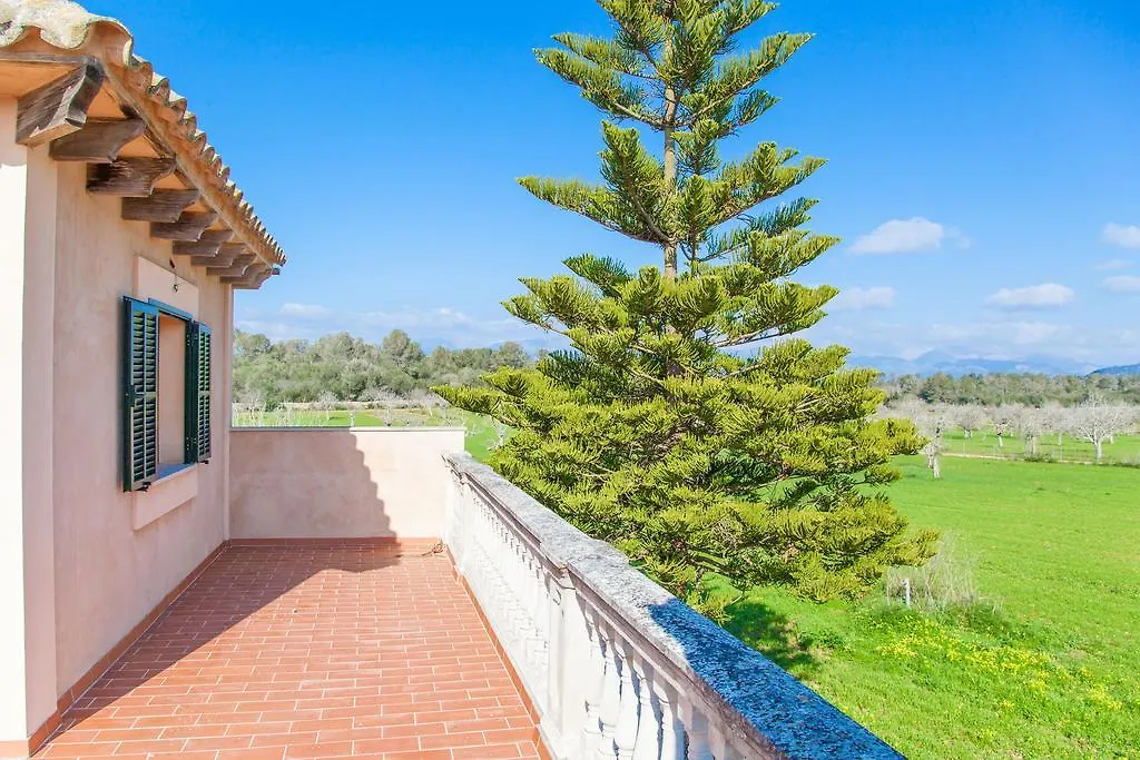 Villa Son Nadal Costitx